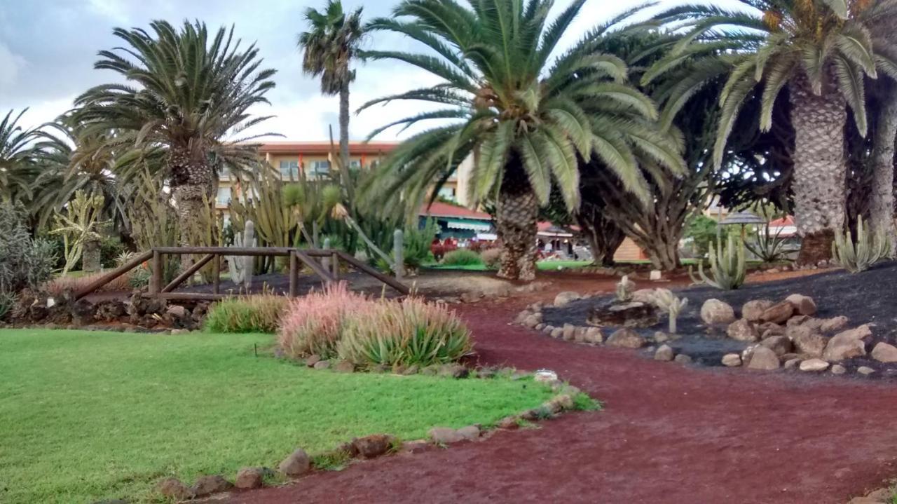 Le Poulpe Bleu Fuerteventura Chic And Relax Apartment Пуерто дел Росарио Екстериор снимка